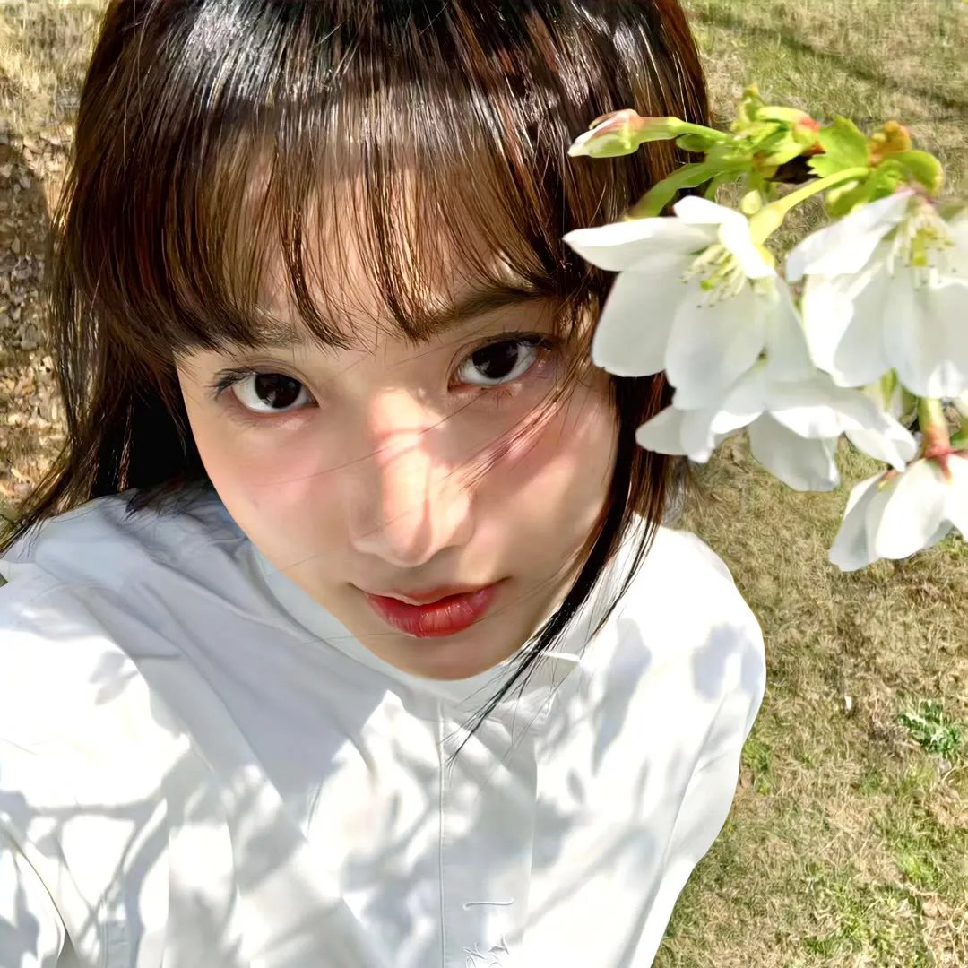 芈月传